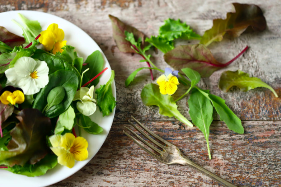 7 Cara mengolah Edible Flower Enak Sehat dan Mudah